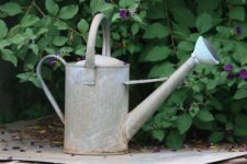 water jug in a garden